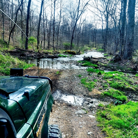 Hey im Chelsea 💀🌼 - Picture 9 of 12